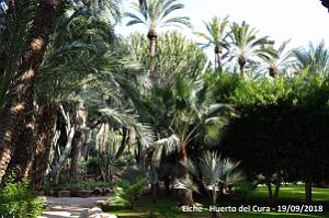 19 ELCHE HUERTO DEL CURA (125)